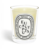 190g Scented Candle - Bougie Pafumee Eucalyptus For Sale