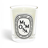 190g Scented Candle - Bougie Pafumee Mimosa Online Hot Sale