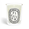 190g Scented Candle - Bougie Pafumee Figuier Fig Tree For Discount