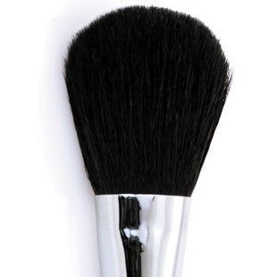 Brandon - Super Powder Brush Supply