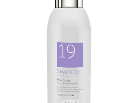 Biotop Professional - 19 Pro Silver Shampoo on Sale